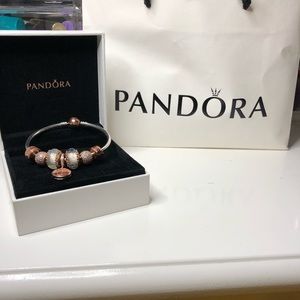 Rose Gold and Silver Pandora Bracelet Set